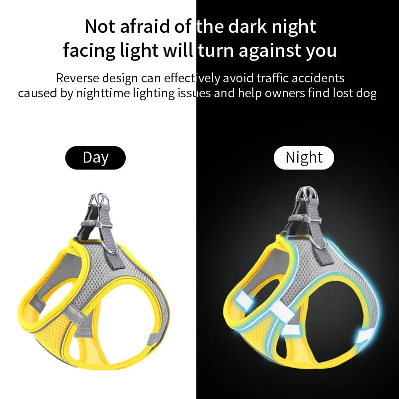 Dog Harness Leash Set – Vest Style for French Bulldog