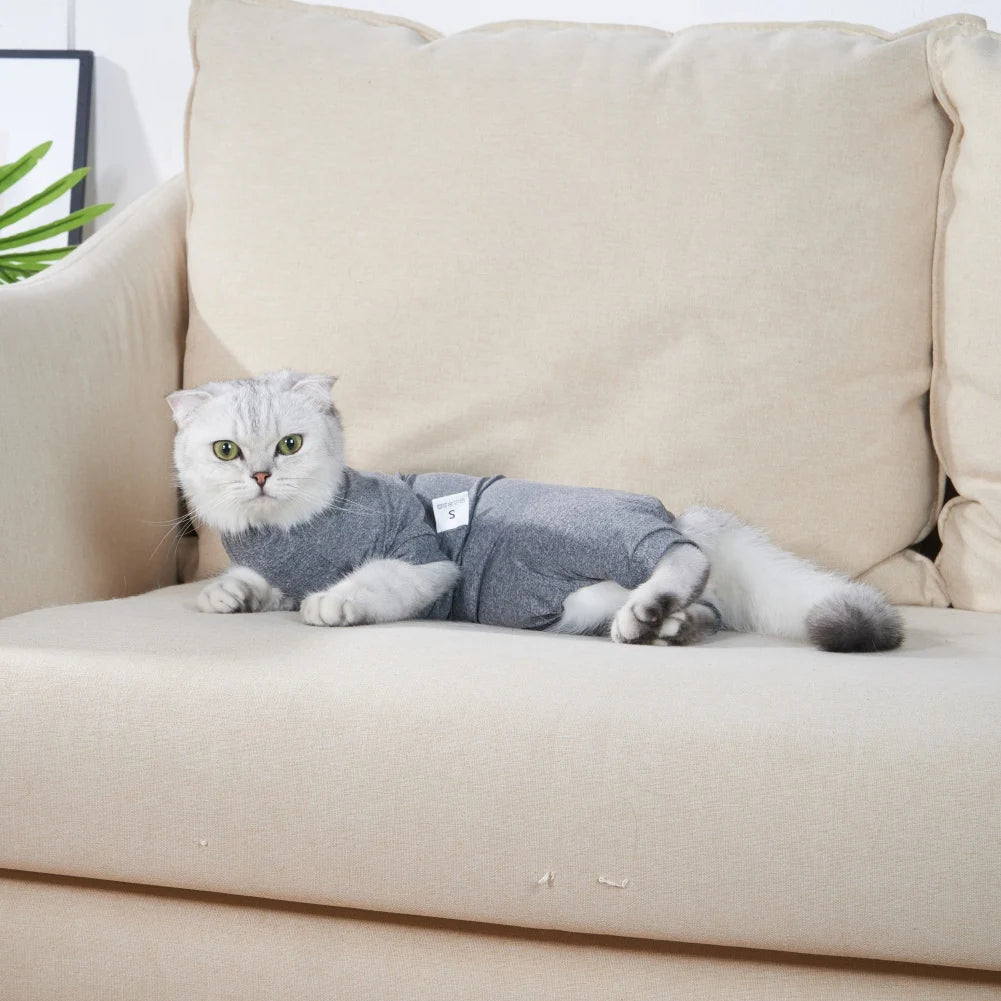 Pet Recovery Suit – Surgery Bodysuit for Cats & Dogs