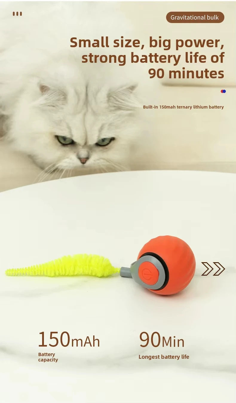 Speedy Tail Cat Toy – Smart Ball with Two Speed Modes