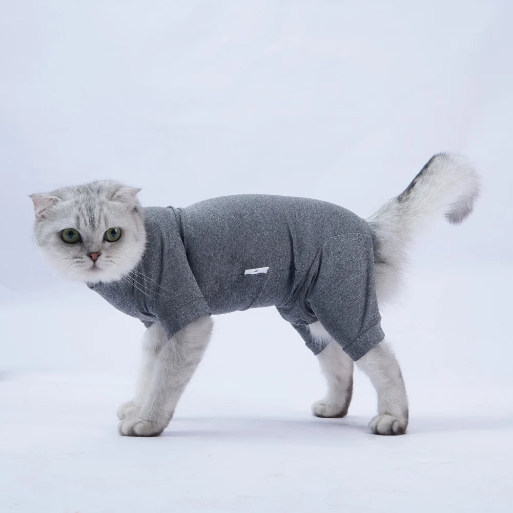 Pet Recovery Suit – Surgery Bodysuit for Cats & Dogs