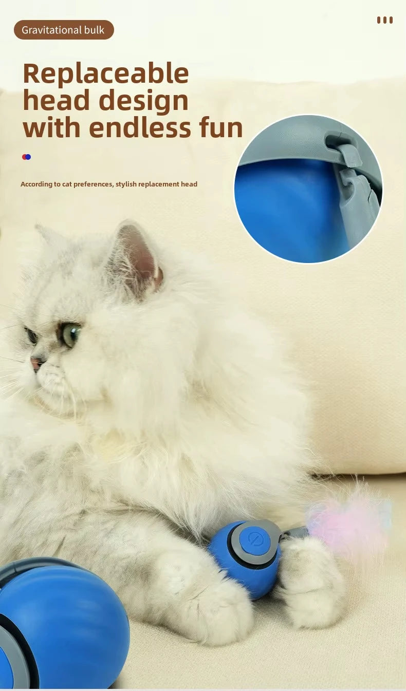 Speedy Tail Cat Toy – Smart Ball with Two Speed Modes
