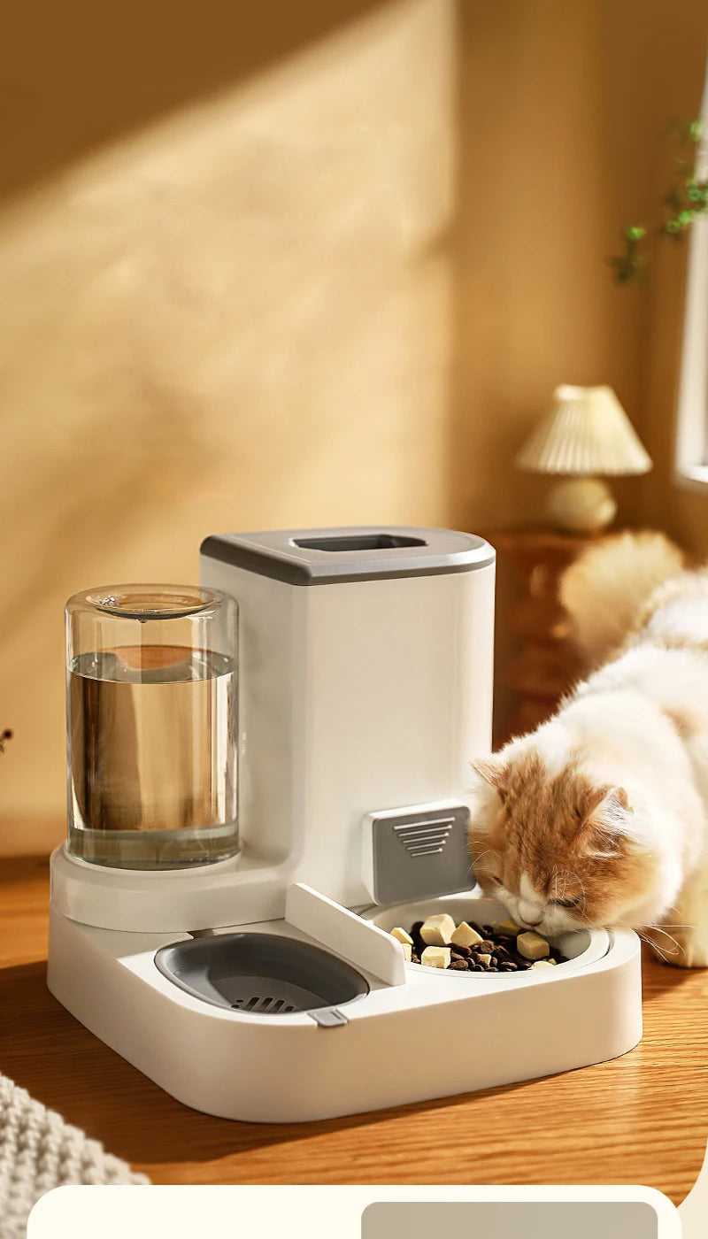 2-in-1 Pet Feeder Bowl – Auto Water Dispenser for Cats