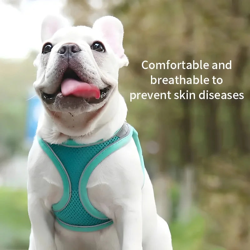 Dog Harness Leash Set – Vest Style for French Bulldog