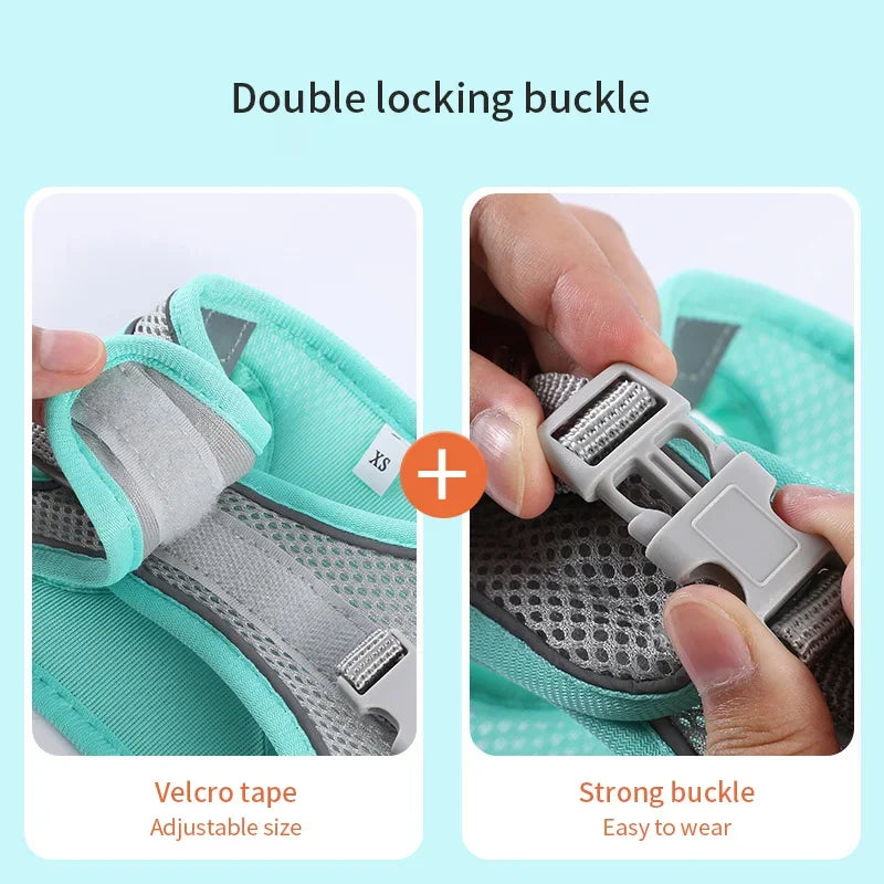 Dog Harness Leash Set – Vest Style for French Bulldog