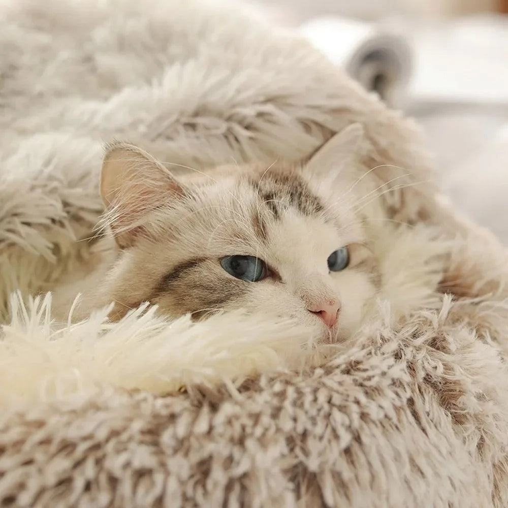 2 in 1 Plush Cat Bed with Cover – Warm Nest for Small Dogs