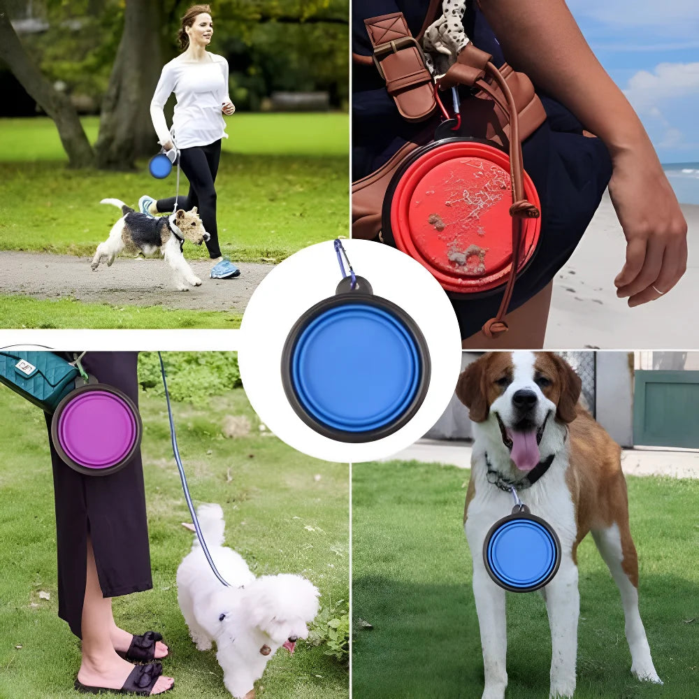 Pet Travel Bowl – Lightweight Foldable Silicone Feeder