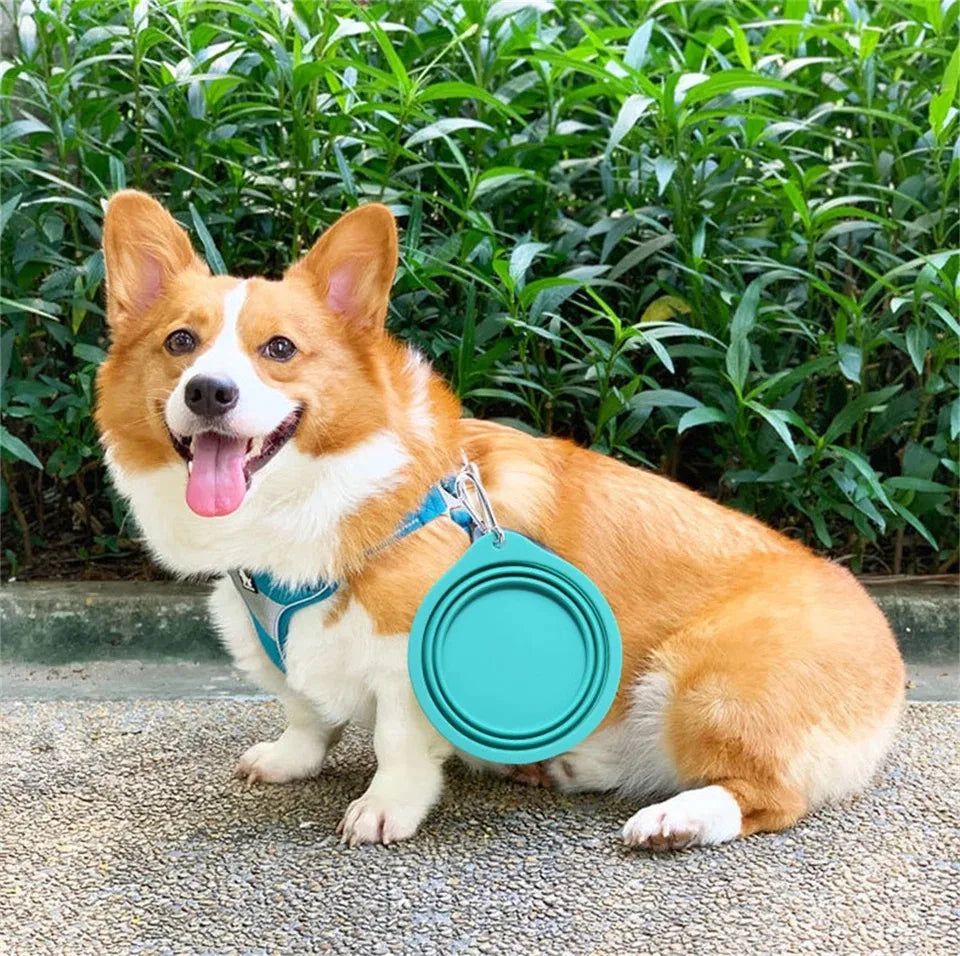 Pet Travel Bowl – Lightweight Foldable Silicone Feeder