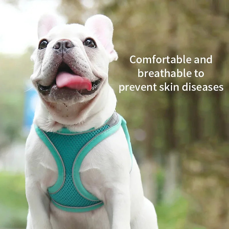 Dog Harness Leash Set – Vest Style for French Bulldog