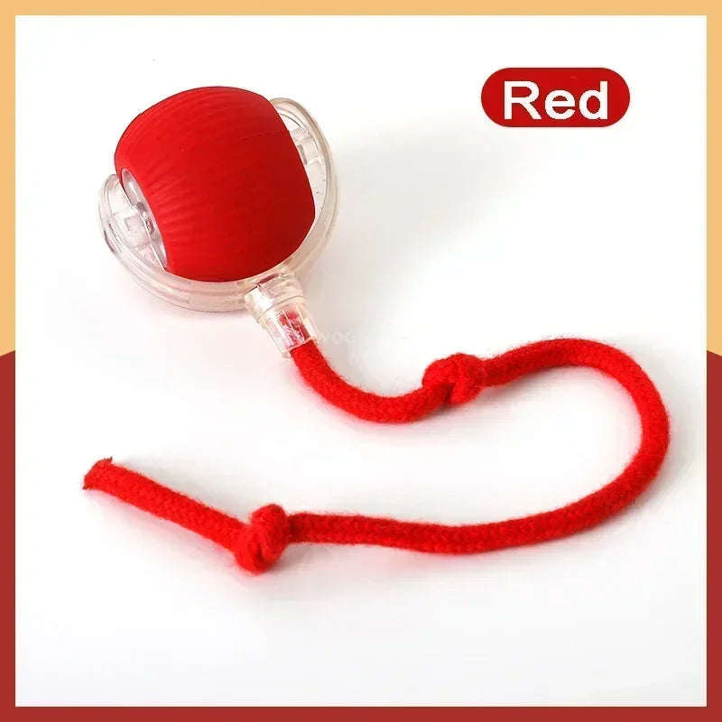 Speedy Tail Cat Toy – Smart Ball with Two Speed Modes