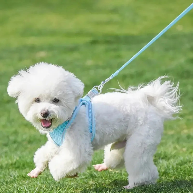 Dog Harness Leash Set – Vest Style for French Bulldog