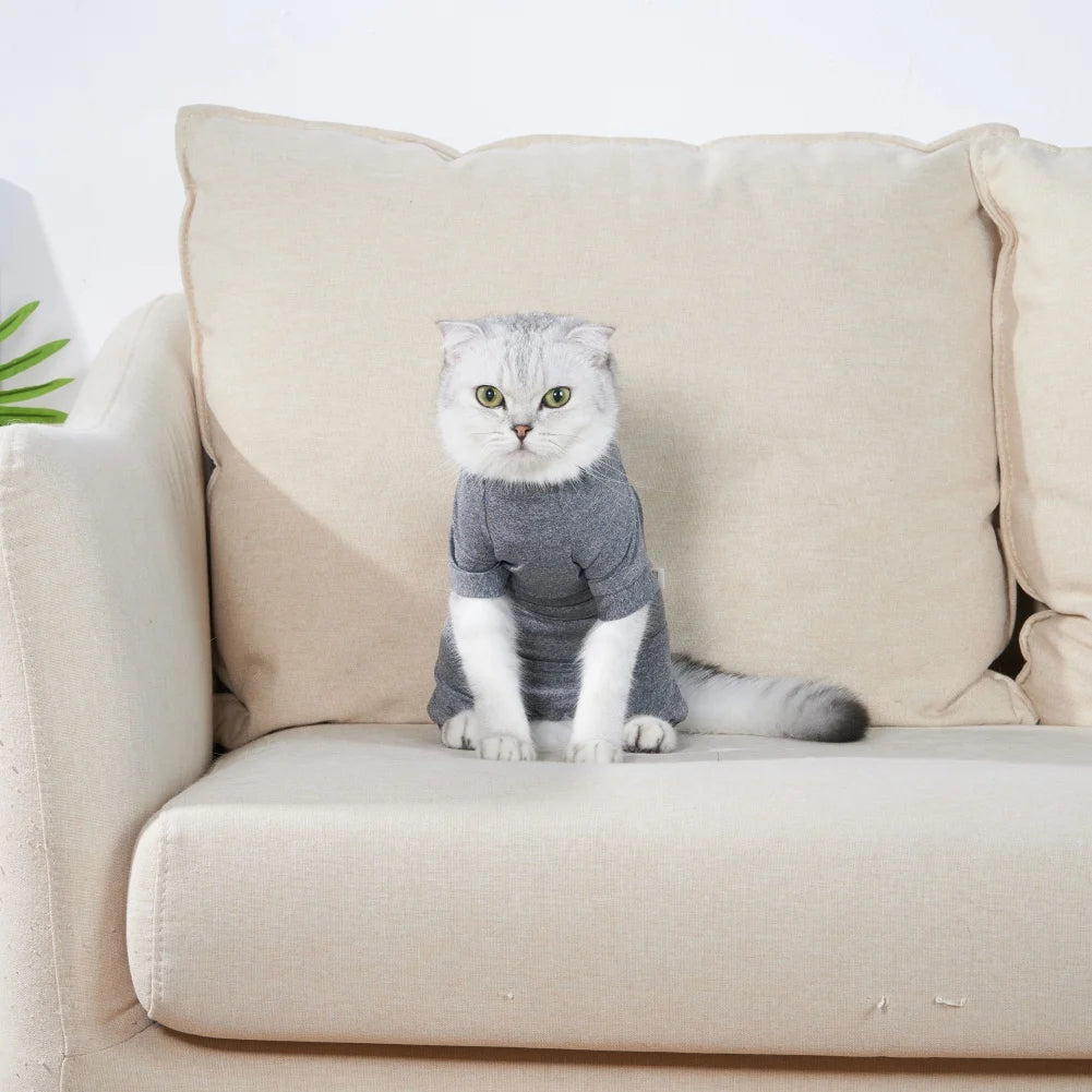 Pet Recovery Suit – Surgery Bodysuit for Cats & Dogs
