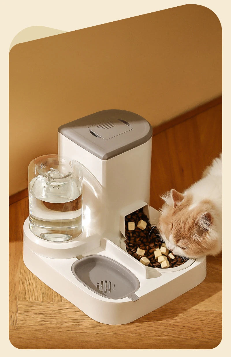 2-in-1 Pet Feeder Bowl – Auto Water Dispenser for Cats