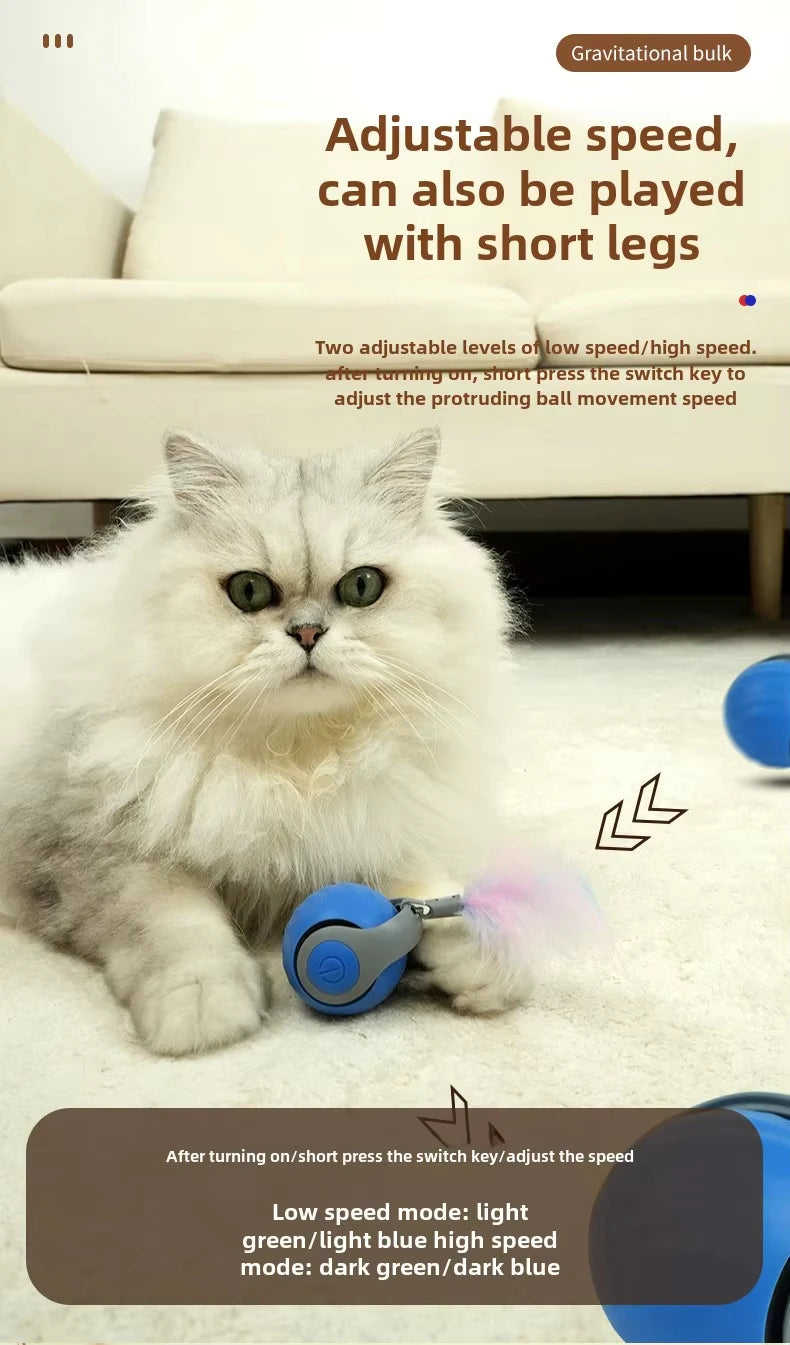 Speedy Tail Cat Toy – Smart Ball with Two Speed Modes