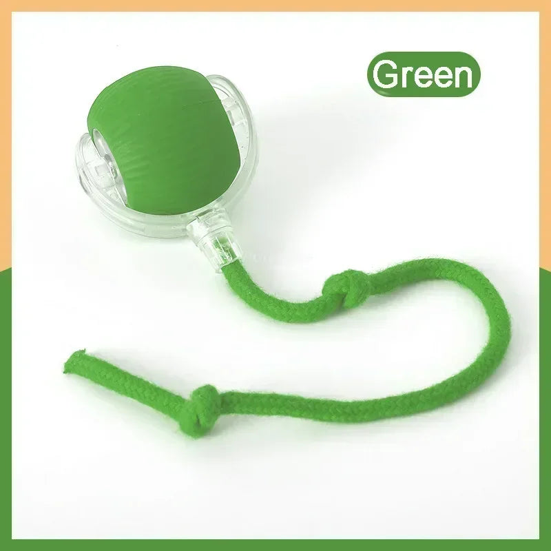 Speedy Tail Cat Toy – Smart Ball with Two Speed Modes
