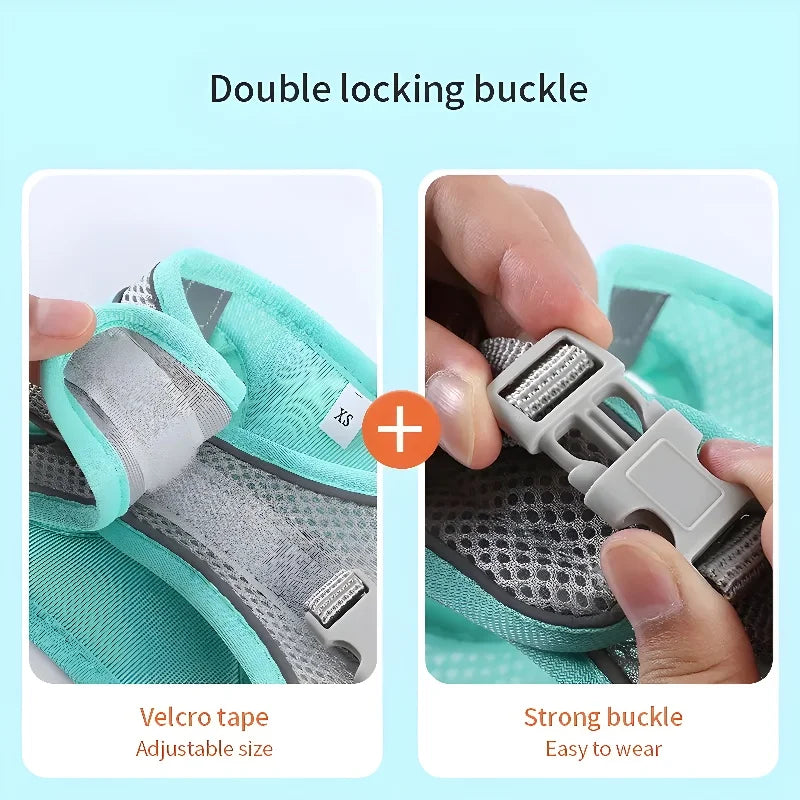 Dog Harness Leash Set – Vest Style for French Bulldog