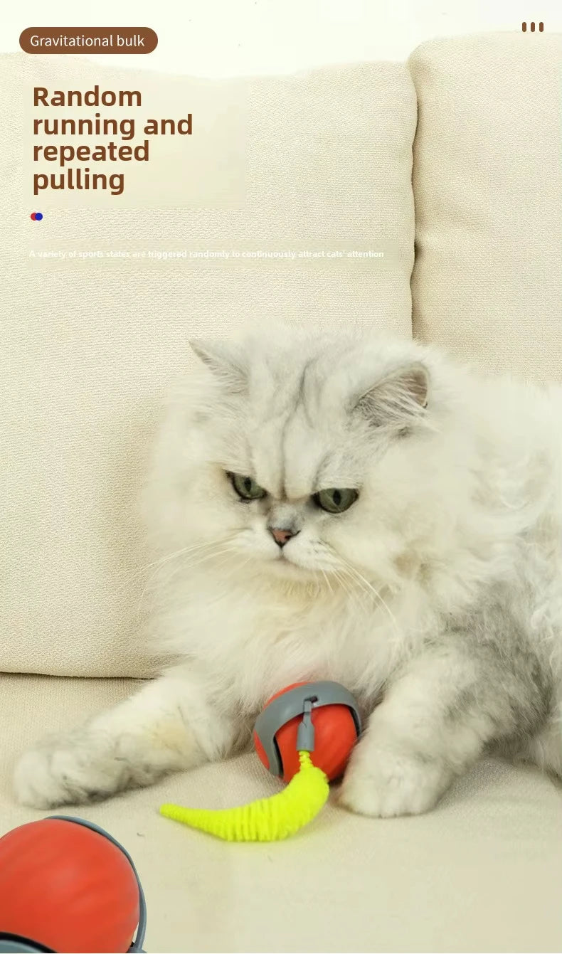 Speedy Tail Cat Toy – Smart Ball with Two Speed Modes