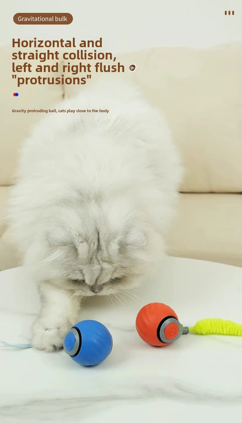 Speedy Tail Cat Toy – Smart Ball with Two Speed Modes