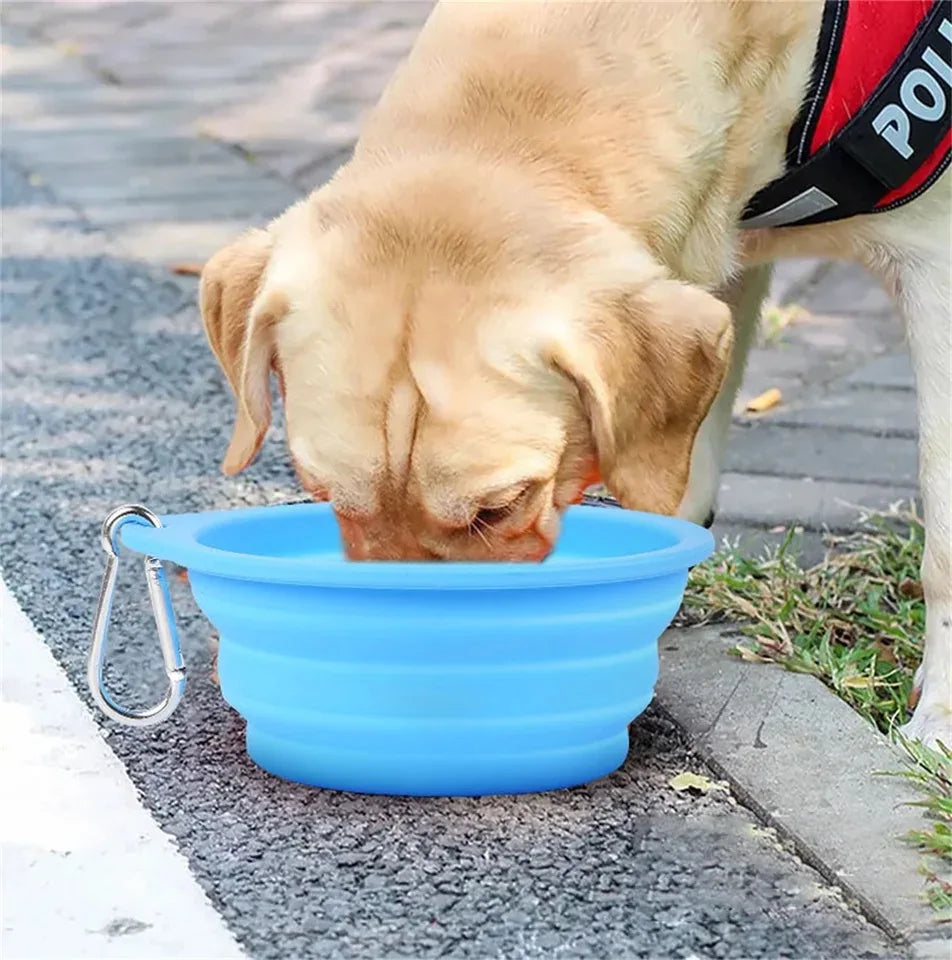Pet Travel Bowl – Lightweight Foldable Silicone Feeder