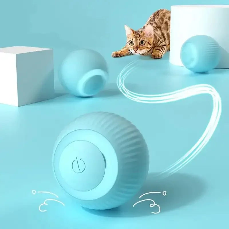 Pet Toys