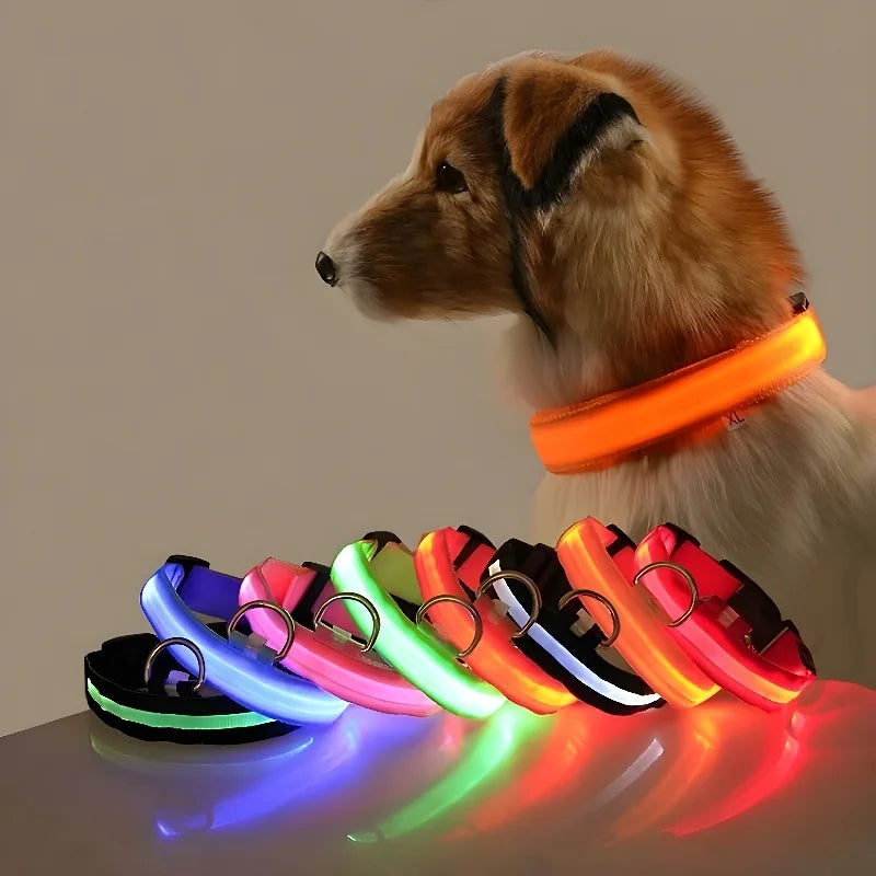 Pet accessories