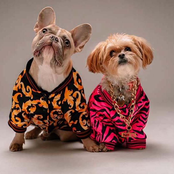 Pet clother