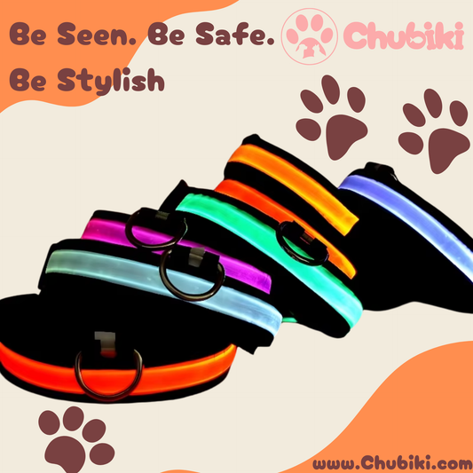 Night Safety Dog Collar