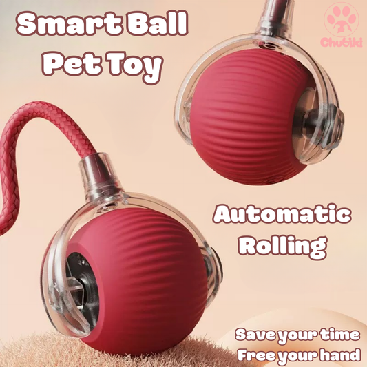 Smart Ball Pet Toy