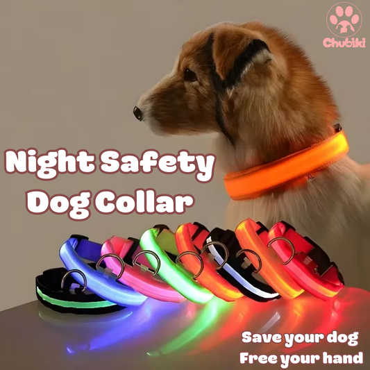 Night Safety Dog Collar