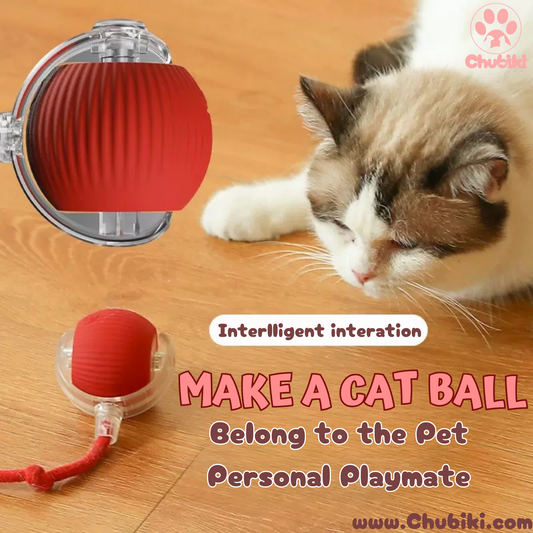 Smart Ball Pet Toy