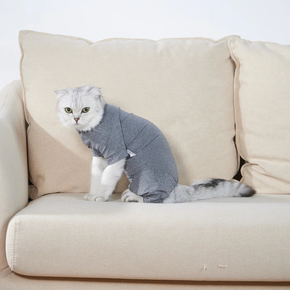 Pet Recovery Suit – Surgery Bodysuit for Cats & Dogs