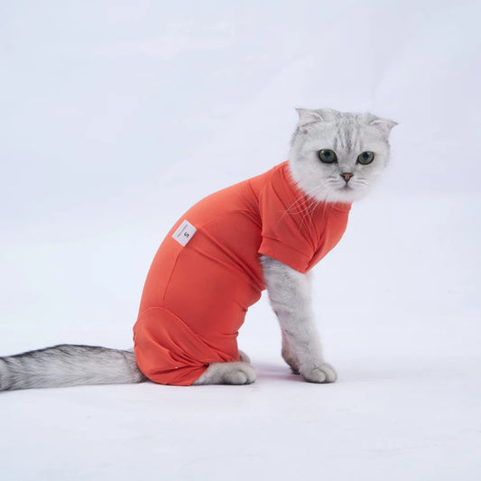 Pet Recovery Suit – Surgery Bodysuit for Cats & Dogs